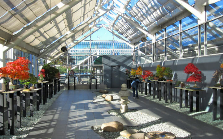 event space at the brooklyn botanic gardens