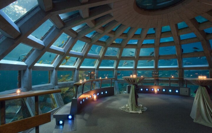 Gorgeous aquatic installments make the aquarium an engaging event venue in Seattle