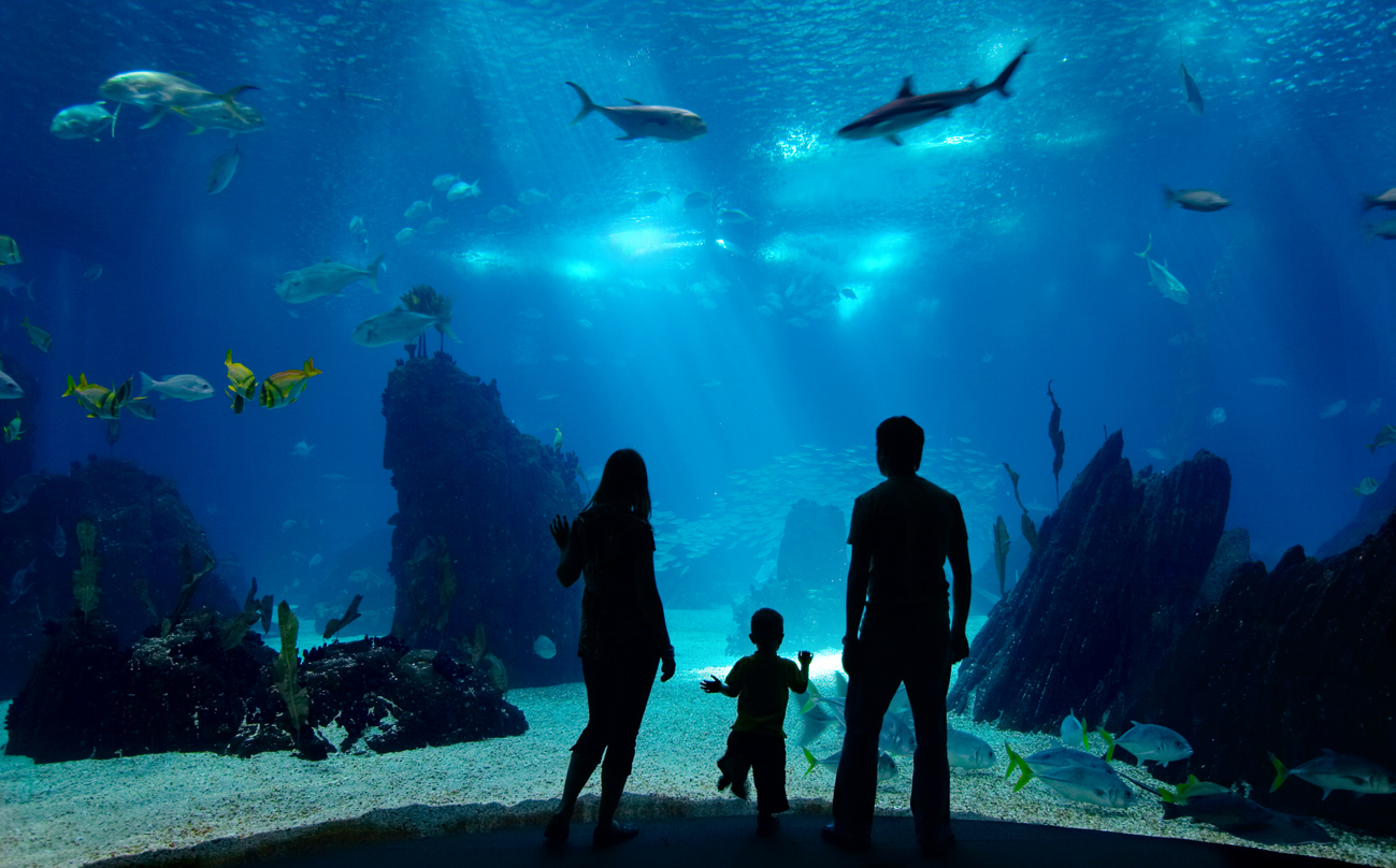 family looking through glass at underwater hotel